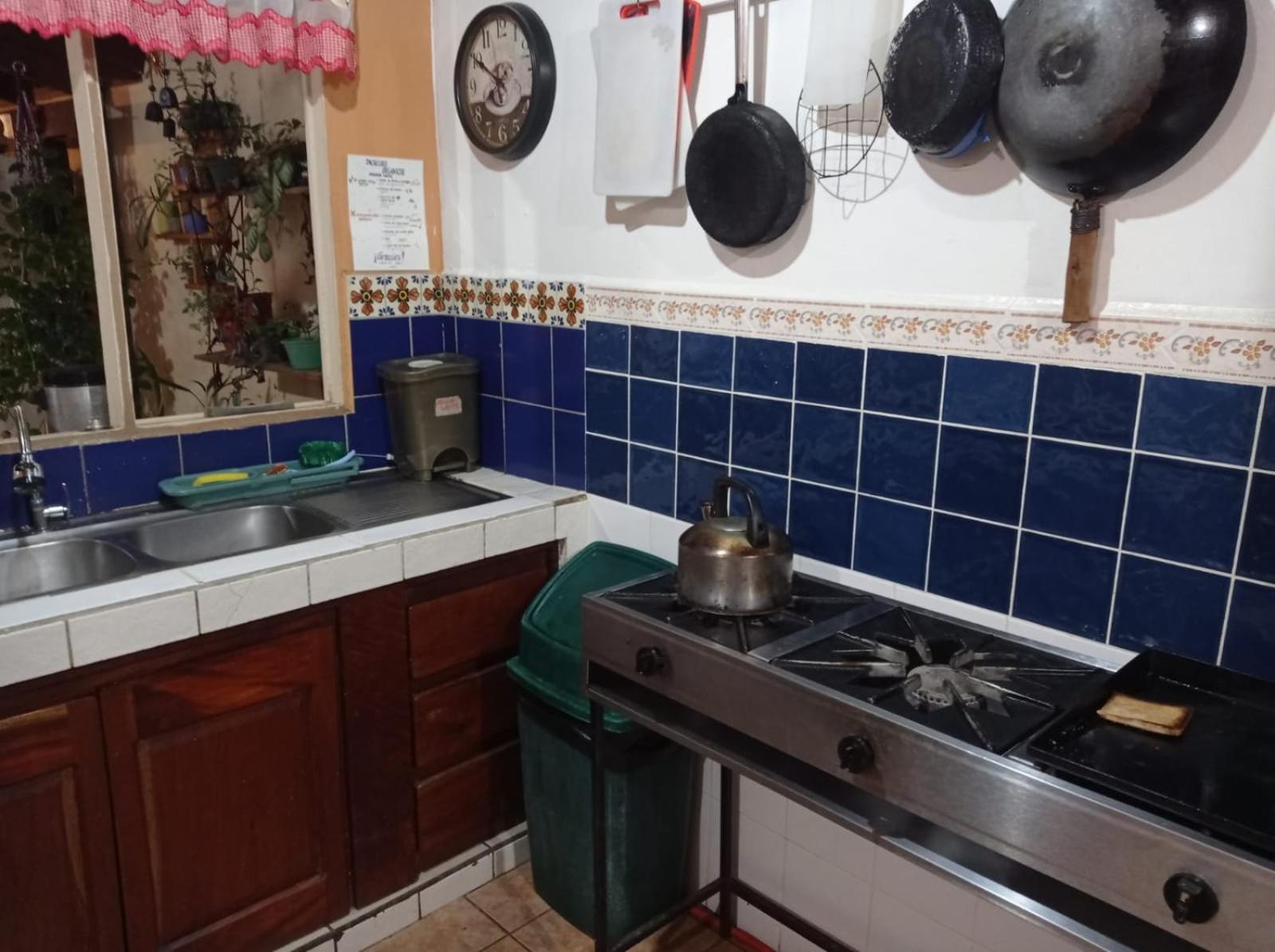 Hostel Casa Ridgway San José Extérieur photo