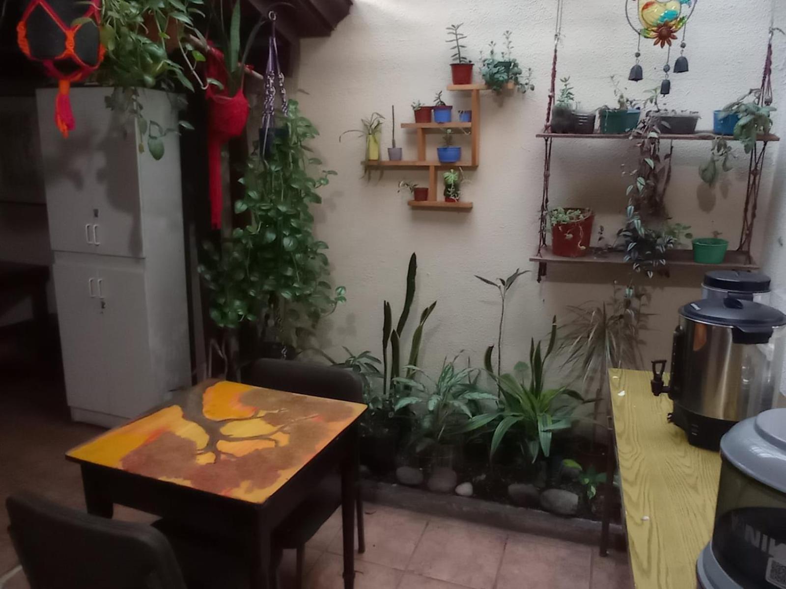 Hostel Casa Ridgway San José Extérieur photo